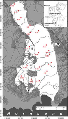 Seasonal and Spatial Differences in Metal and Metalloid Concentrations in the Snow Cover of Hansbreen, Svalbard